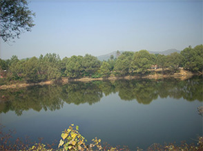 ¹Ȫ��ɽ�@�����깫Ԣ-�@�^(q��)����